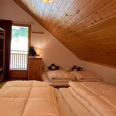 Hébergement de vacances New Le Sabot 12p - Sauna - 90m Telecabine